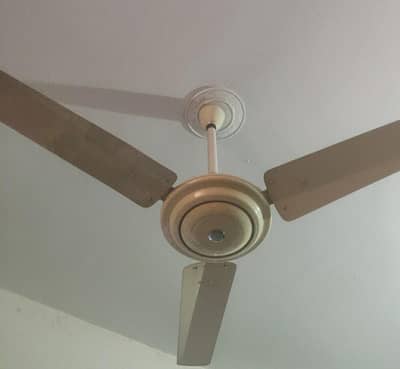 Celling Fand