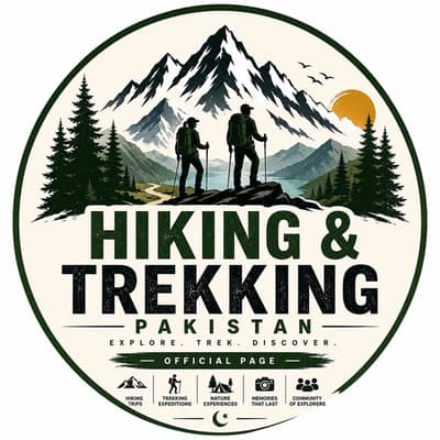 we are looking fer agirl who can organized trip with us
