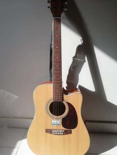 Hofner HAS DC01 N