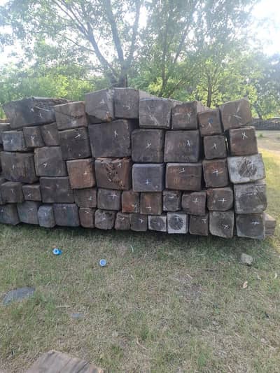 diyar wood for sale bulk quantity
