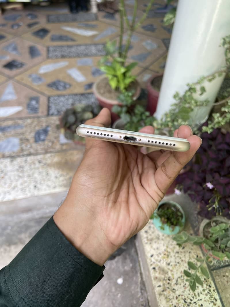 iPhone 8 plus PTA 2