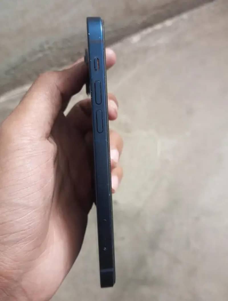 Apple iPhone 12 1