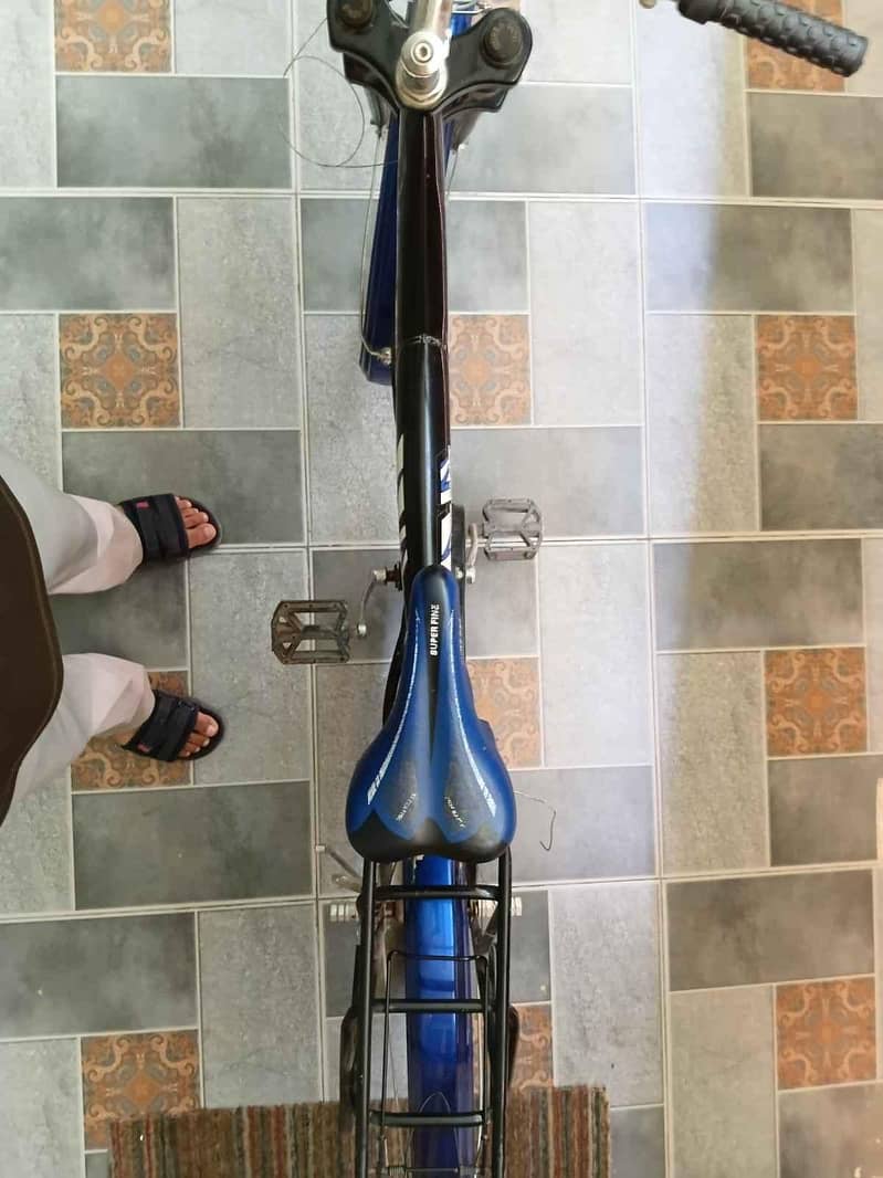 Delux Cycle 5