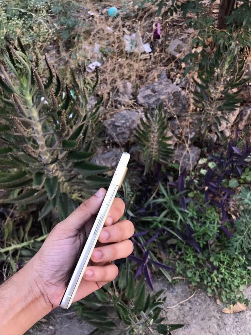 Google Pixel 7 4
