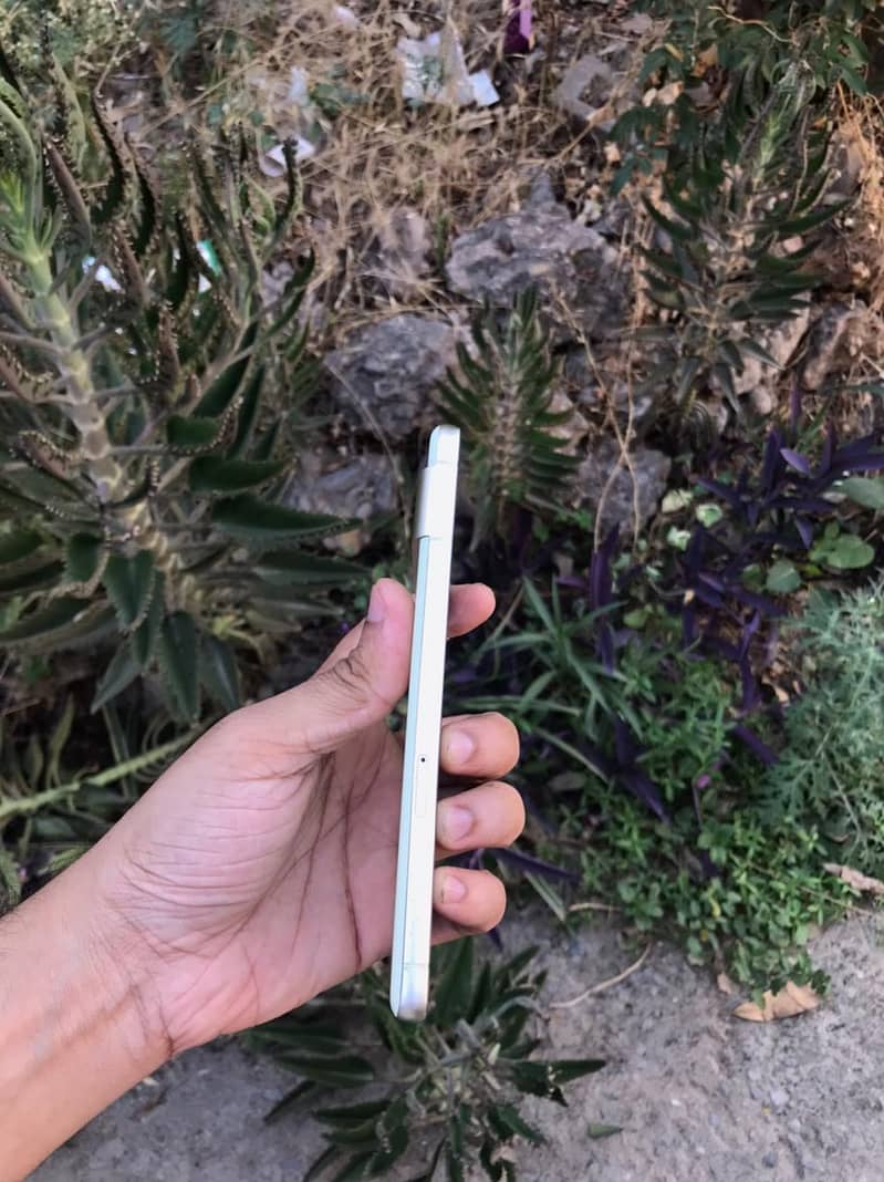 Google Pixel 7 5