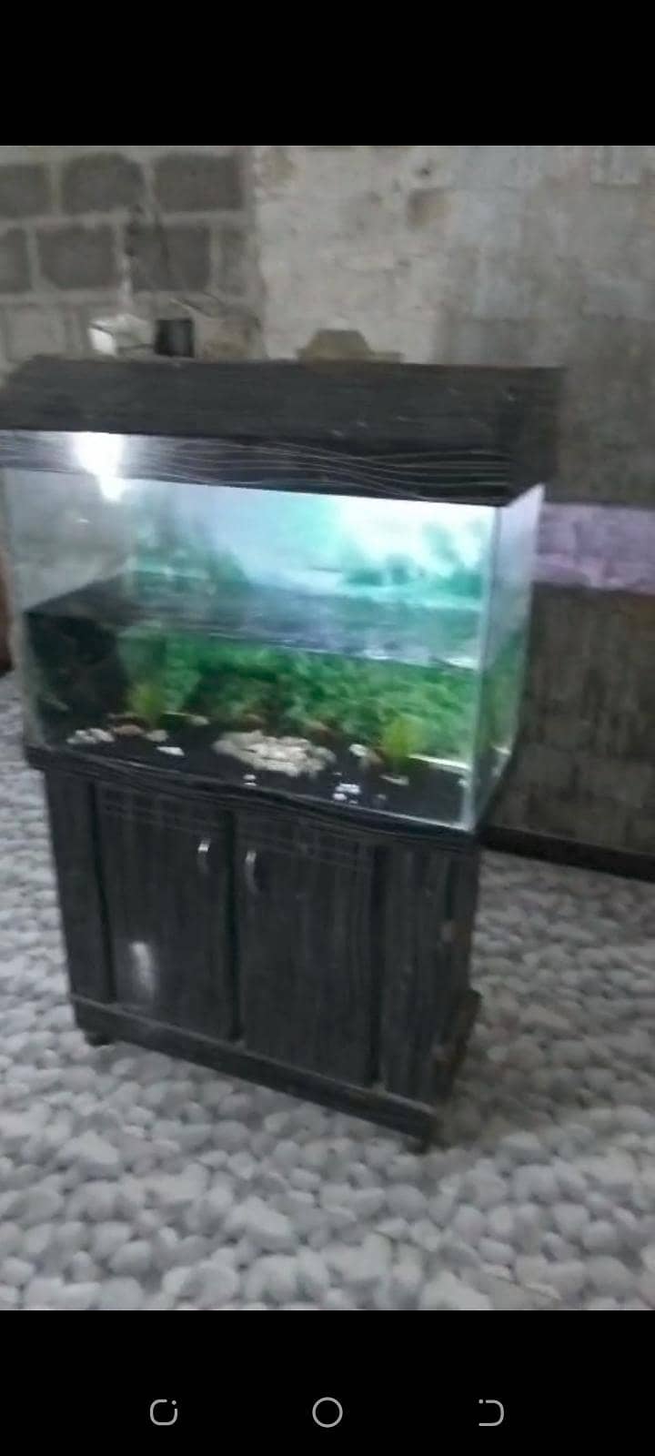 acorium 0
