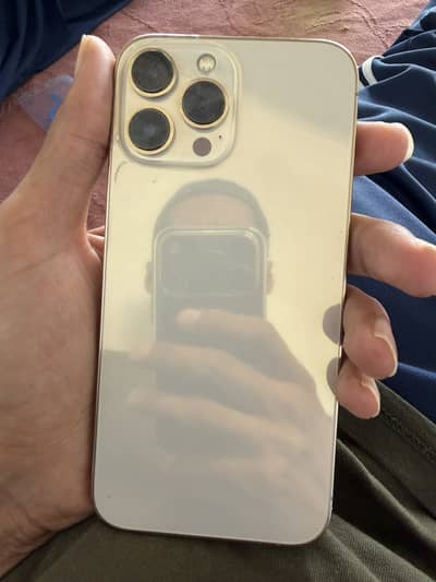 Apple iPhone 13 Pro Max