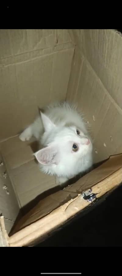person care sale urgent