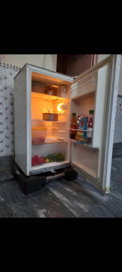 Mini Fridge