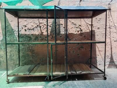 Cage for birds and chicks