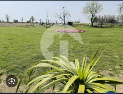 6 ACRE LAND IN FRONT OF BAHRIA OASIS
