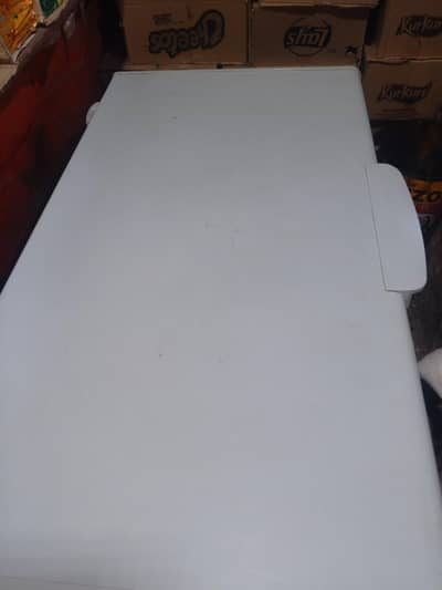 A1 freezer