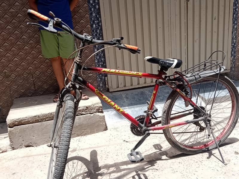 Bicycle  0