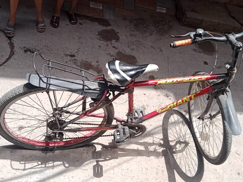 Bicycle  2