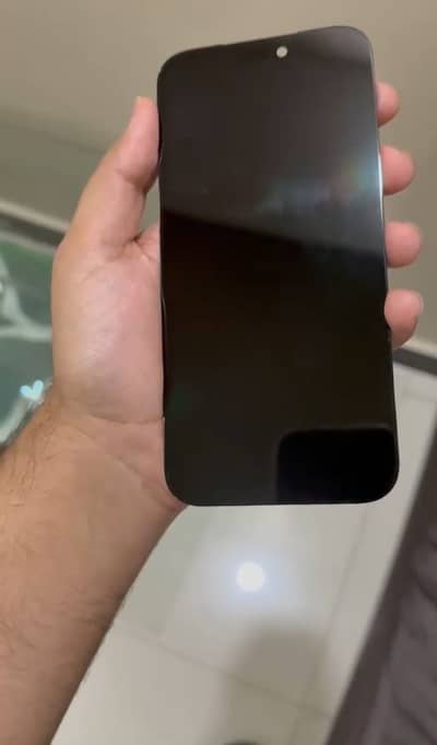 iPhone 17 Pro Max panel