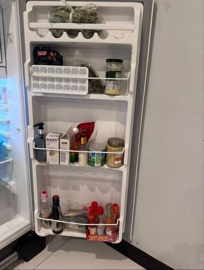 Fridge with warranty
