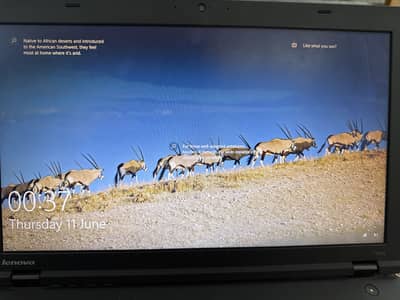 Lenove Thinkpad i5 laptop for sale urgent