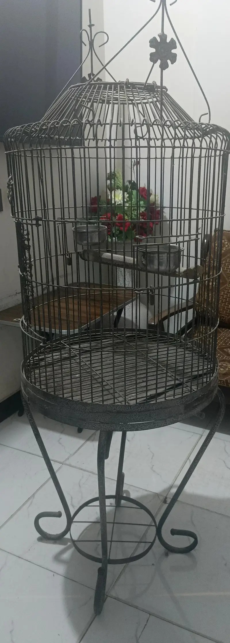 Grey Cage — photo 2