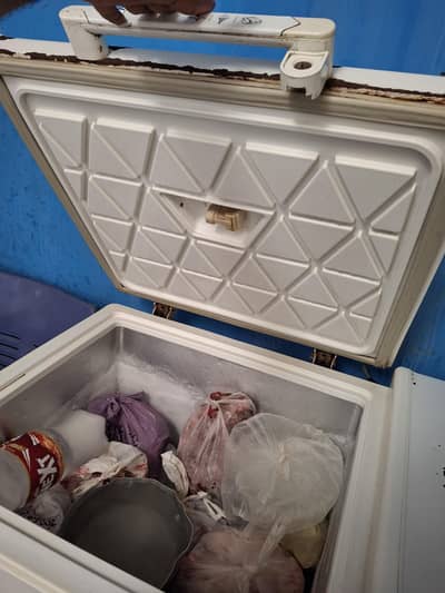 Double Door Deep Freezer | Refrigerator | Freezer