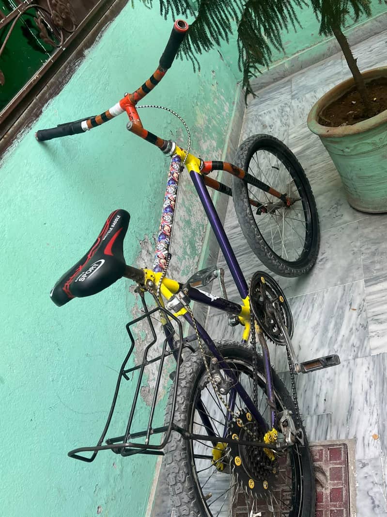 PHONEX FRAME CYCLE 0
