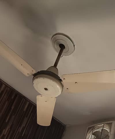 Three Fan for sale
