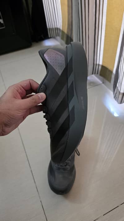 ADIDAS Evo SL - Genuine Imported - Brand New with Box