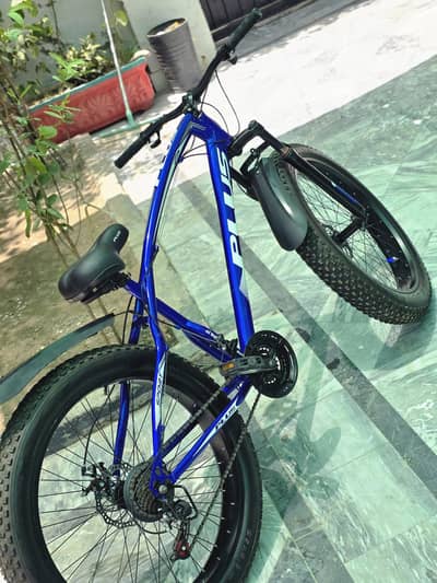 Fat tyre bicycle