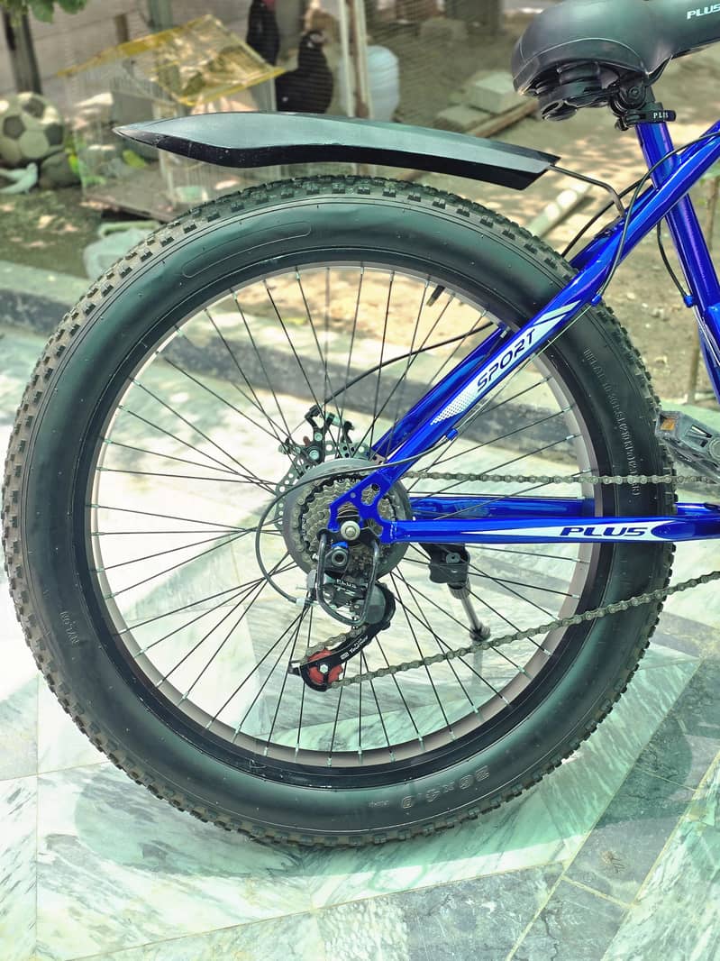 Fat tyre cycle 2