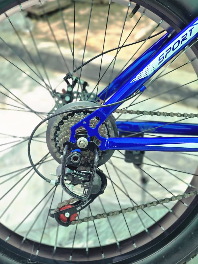 Fat tyre cycle 3