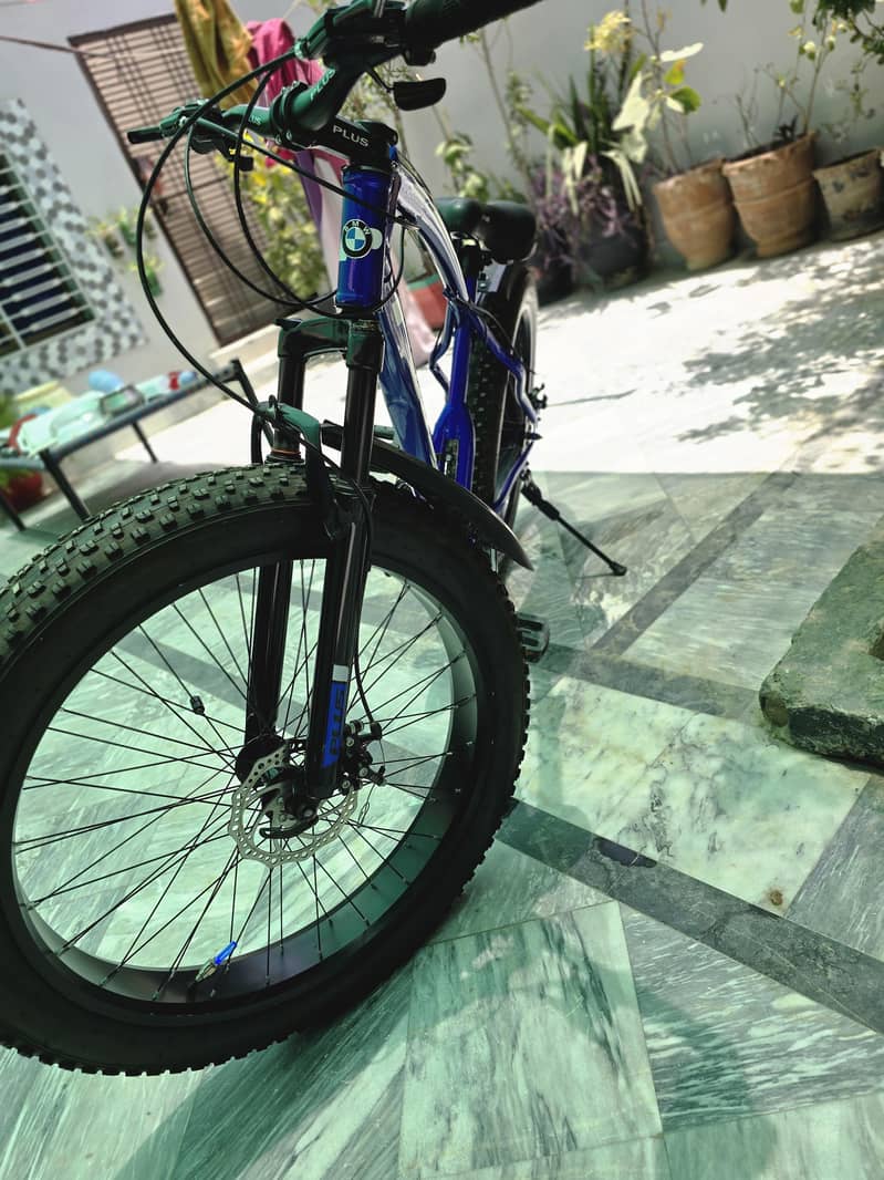 Fat tyre cycle 5