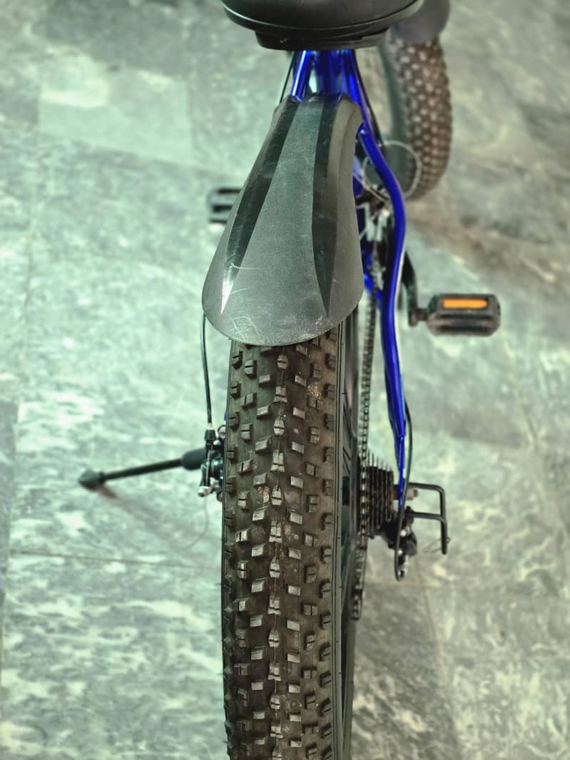 Fat tyre cycle 9