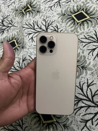 Apple iPhone 12 Pro Max