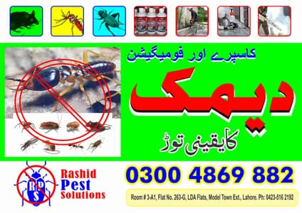 Pest Control/Termite Control/Fumigation Spray/Deemak Control Services