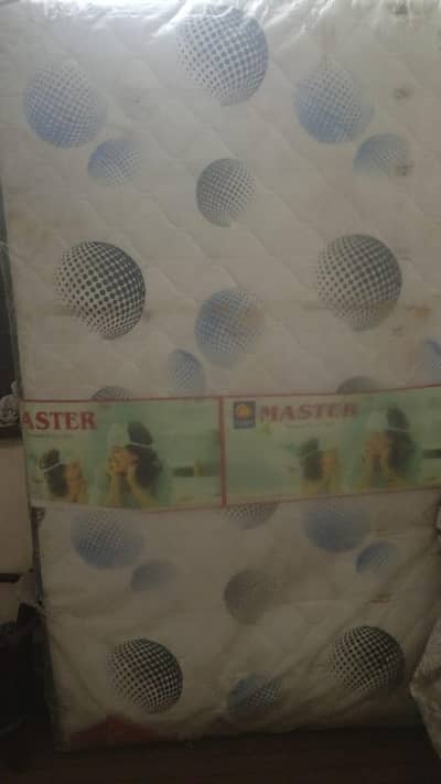 master moltyfoam