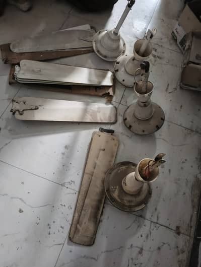 Ceiling Fans for sale