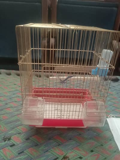 birds cage