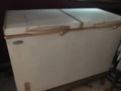 Double door deep freezer