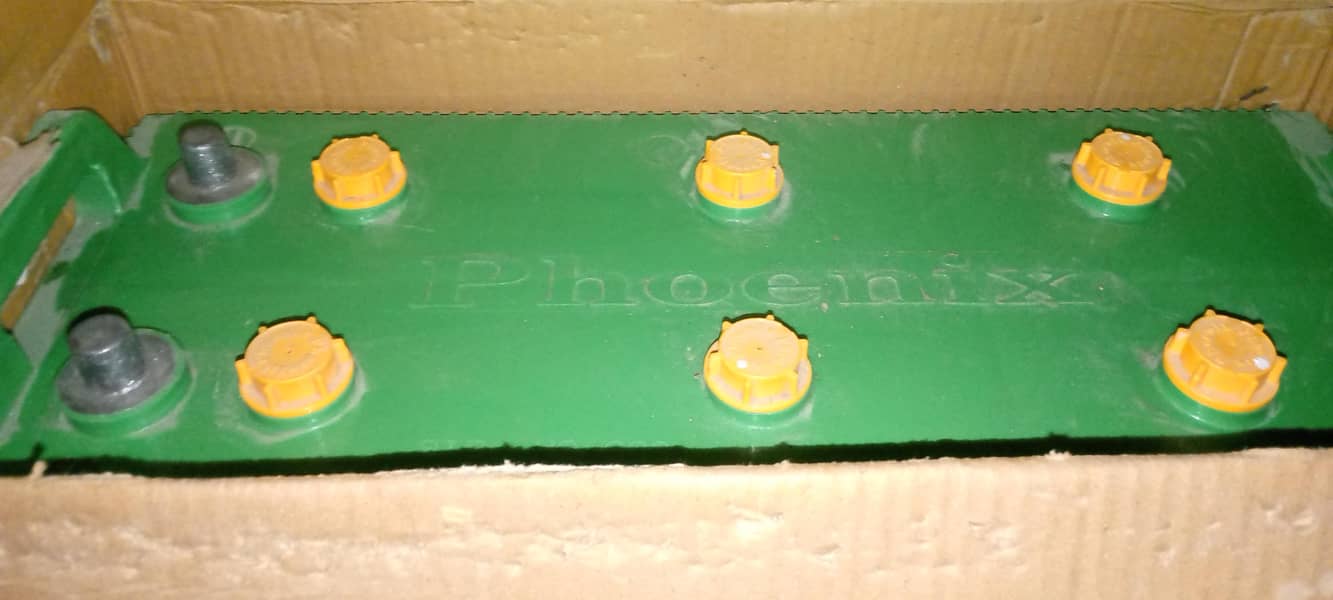 phoenix 4