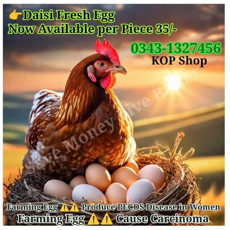 Daisi Fresh Egg 0