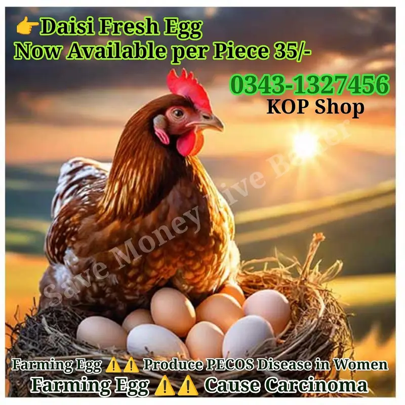 Daisi Fresh Egg