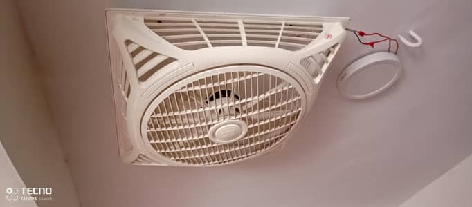 Royal fans for sale