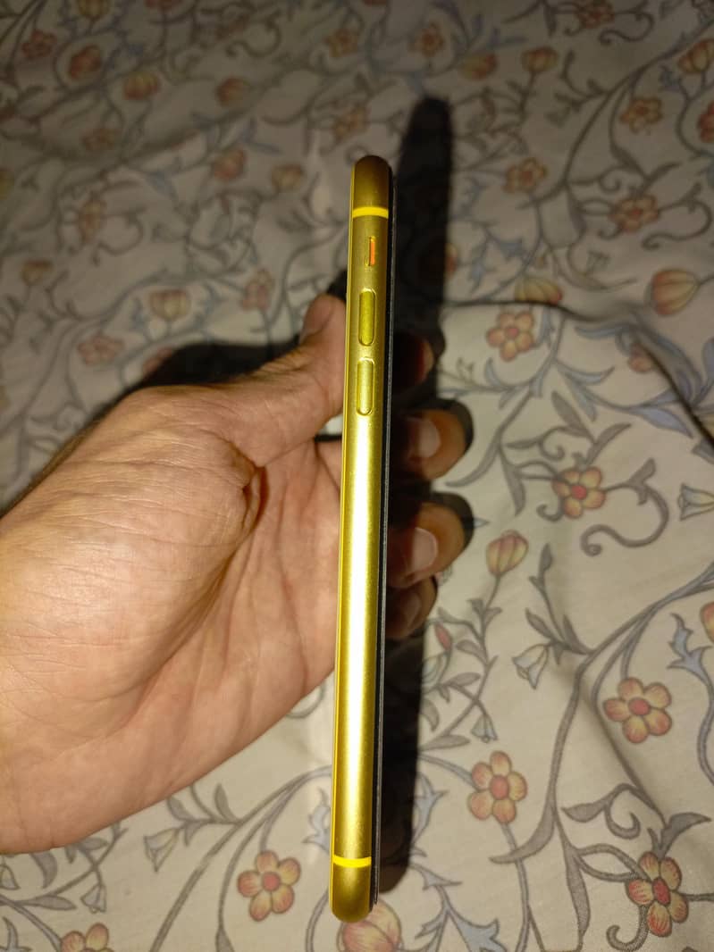 Apple iPhone 11 1