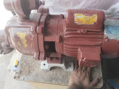 Faisal double impaler water pump