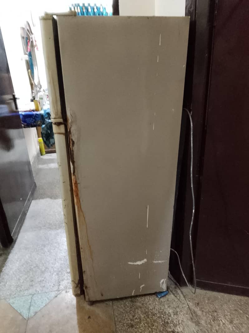 Frieg 3
