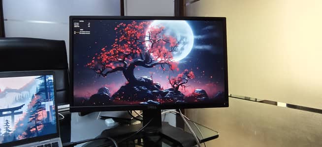Dell and hp monitor