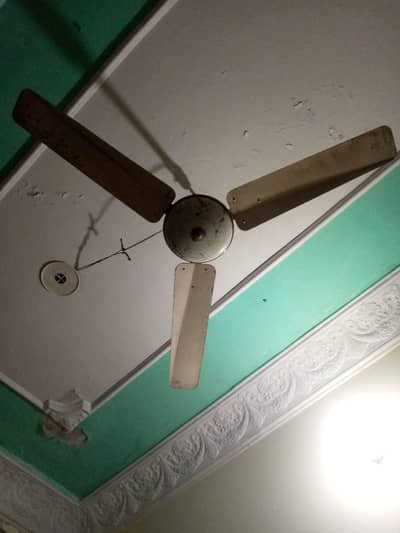 3 fans