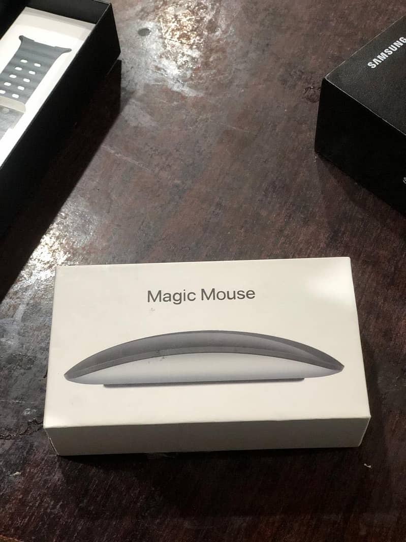 Apple Magic Mouse 2 0