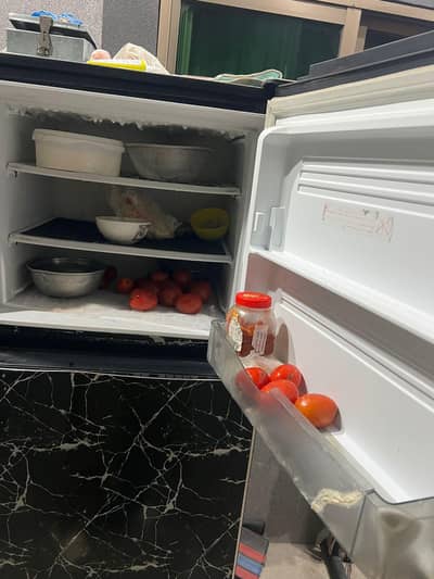 pel inverter medium size fridge
