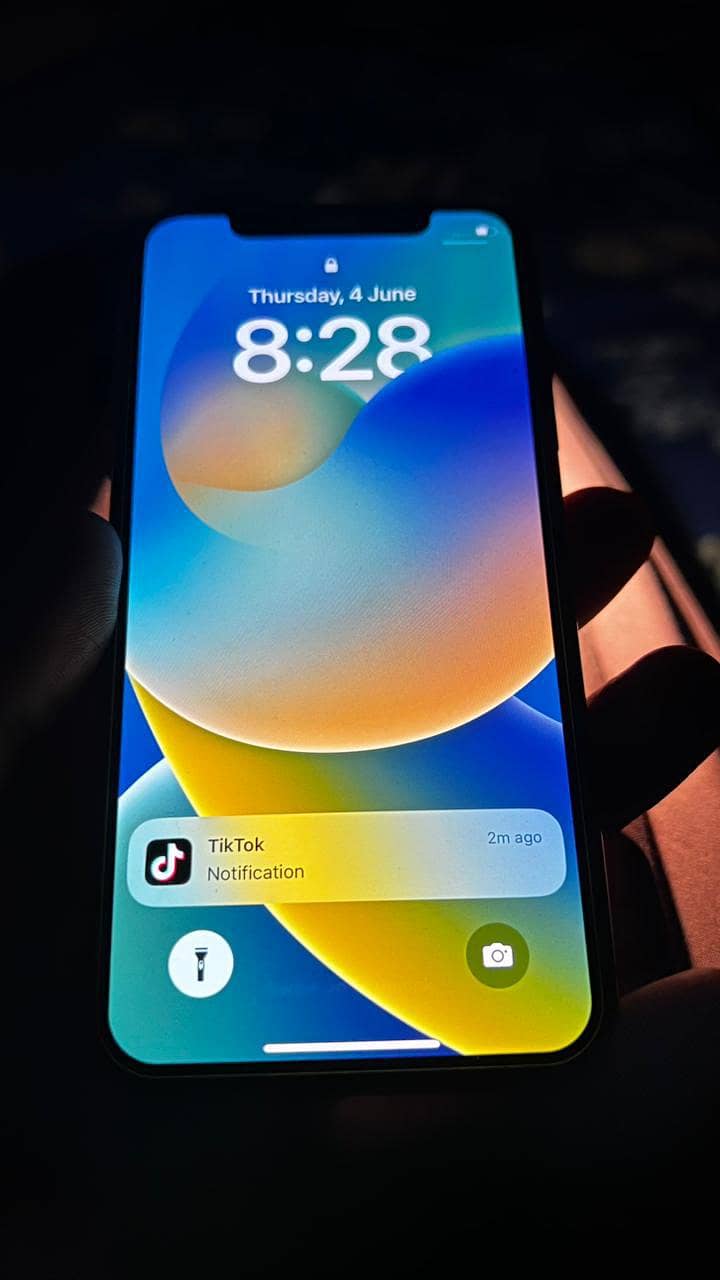 Apple iPhone X 1