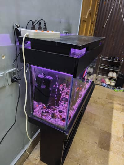 Fish Aquarium For Sale